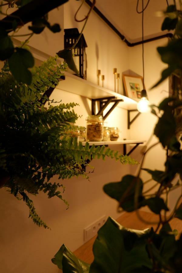 Singer Apartment Old Town Cracovia Esterno foto