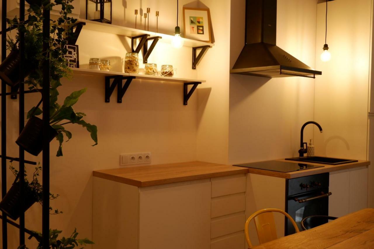 Singer Apartment Old Town Cracovia Esterno foto